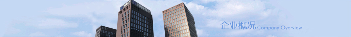 公司概況